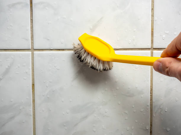 Best Mold Removal Company Near Me  in East Uniontown, PA